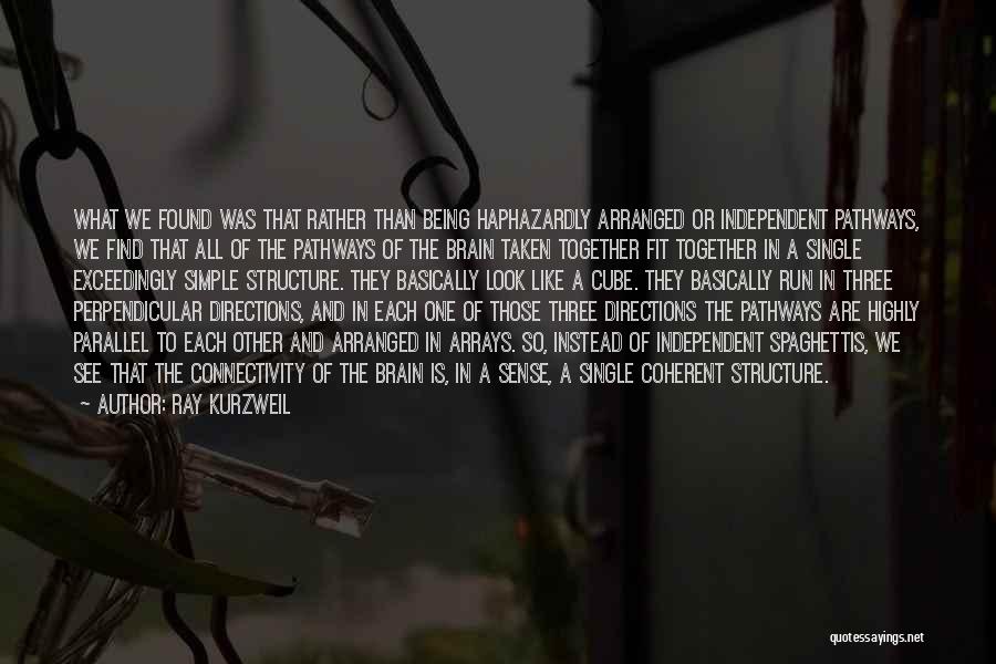 Ray Kurzweil Quotes: What We Found Was That Rather Than Being Haphazardly Arranged Or Independent Pathways, We Find That All Of The Pathways