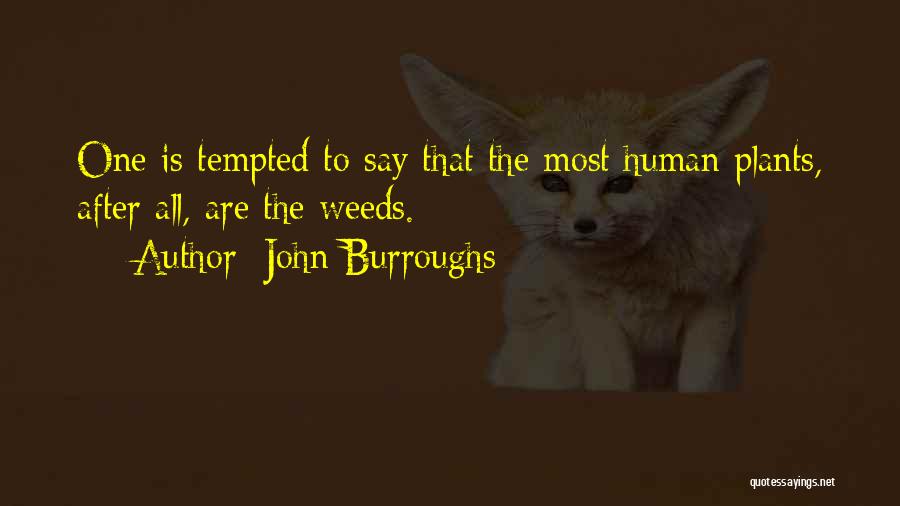 John Burroughs Quotes: One Is Tempted To Say That The Most Human Plants, After All, Are The Weeds.