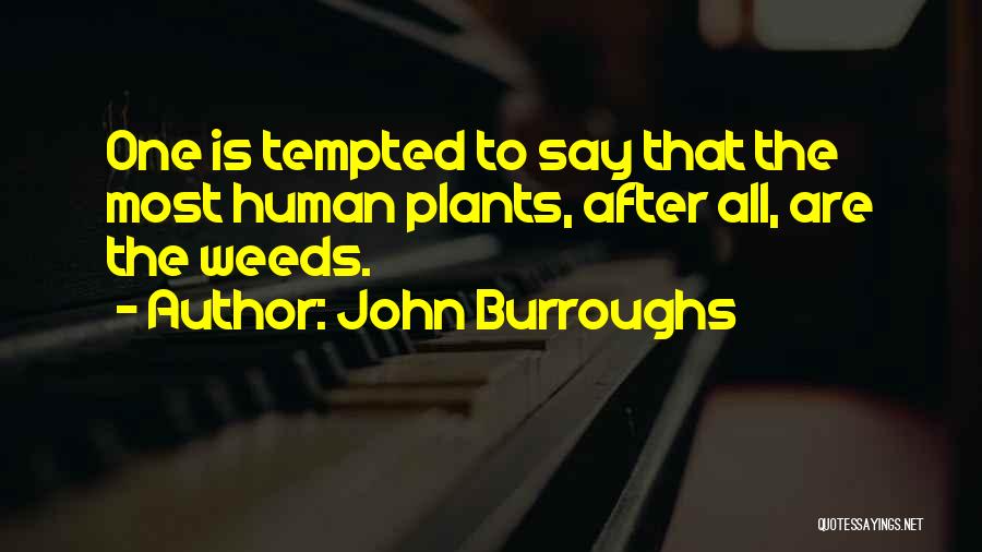 John Burroughs Quotes: One Is Tempted To Say That The Most Human Plants, After All, Are The Weeds.