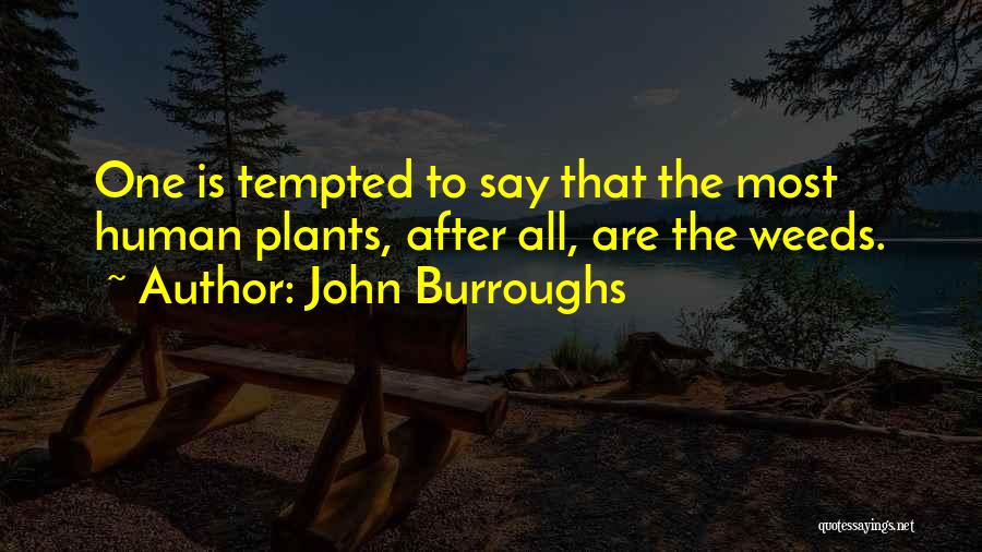 John Burroughs Quotes: One Is Tempted To Say That The Most Human Plants, After All, Are The Weeds.