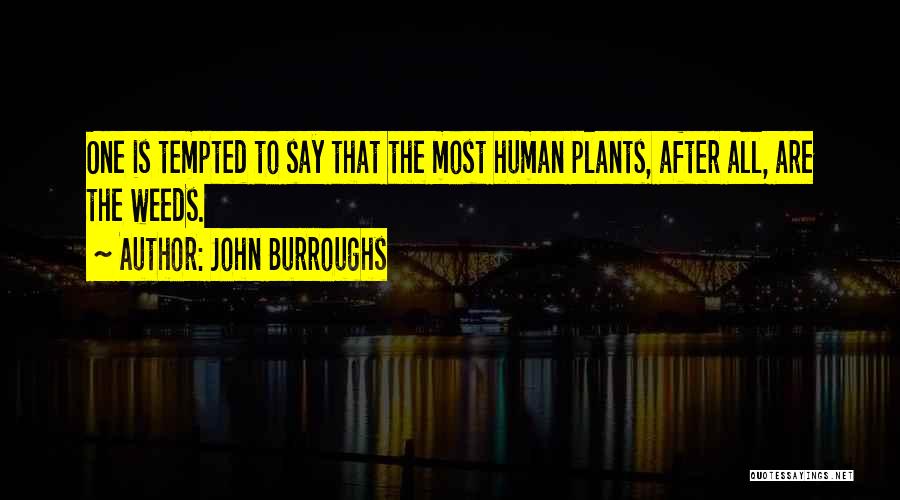 John Burroughs Quotes: One Is Tempted To Say That The Most Human Plants, After All, Are The Weeds.