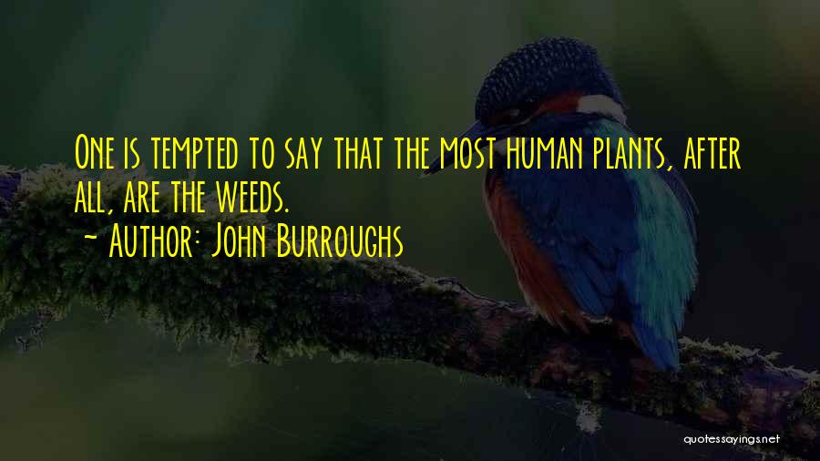 John Burroughs Quotes: One Is Tempted To Say That The Most Human Plants, After All, Are The Weeds.