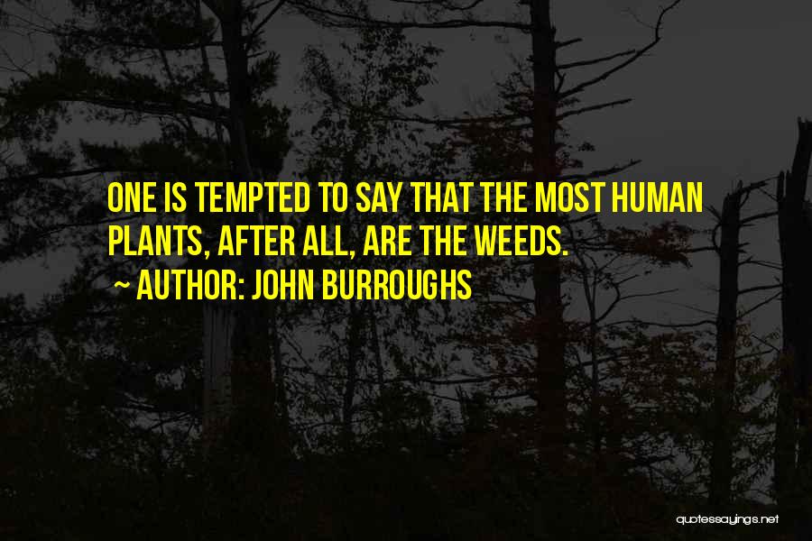 John Burroughs Quotes: One Is Tempted To Say That The Most Human Plants, After All, Are The Weeds.