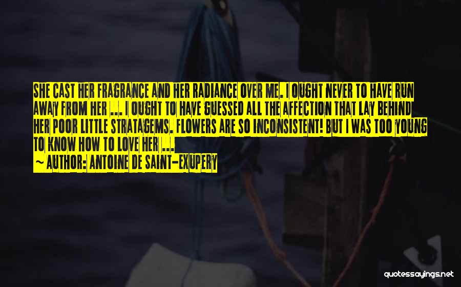 Antoine De Saint-Exupery Quotes: She Cast Her Fragrance And Her Radiance Over Me. I Ought Never To Have Run Away From Her ... I