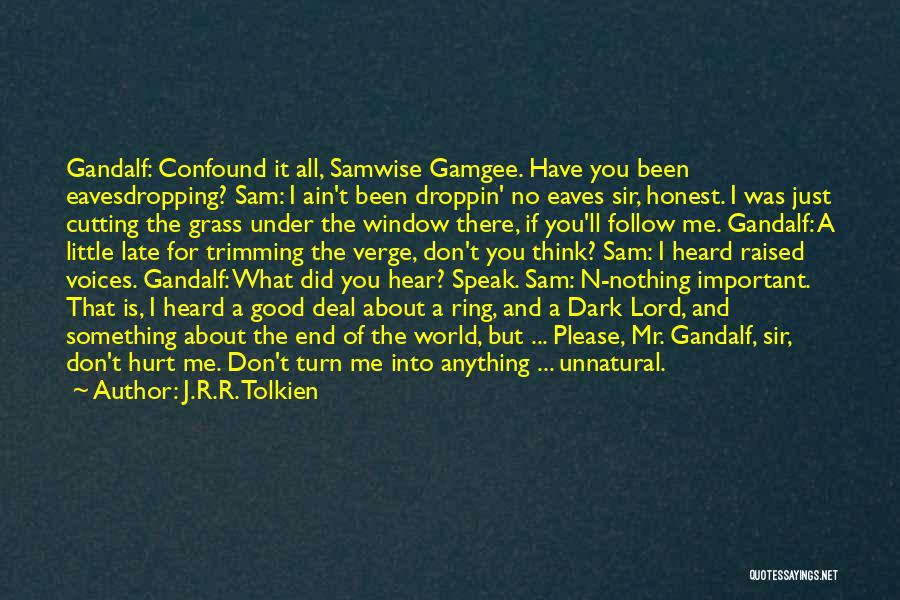 J.R.R. Tolkien Quotes: Gandalf: Confound It All, Samwise Gamgee. Have You Been Eavesdropping? Sam: I Ain't Been Droppin' No Eaves Sir, Honest. I