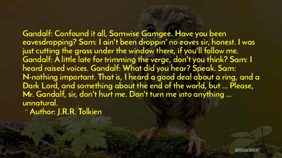 J.R.R. Tolkien Quotes: Gandalf: Confound It All, Samwise Gamgee. Have You Been Eavesdropping? Sam: I Ain't Been Droppin' No Eaves Sir, Honest. I