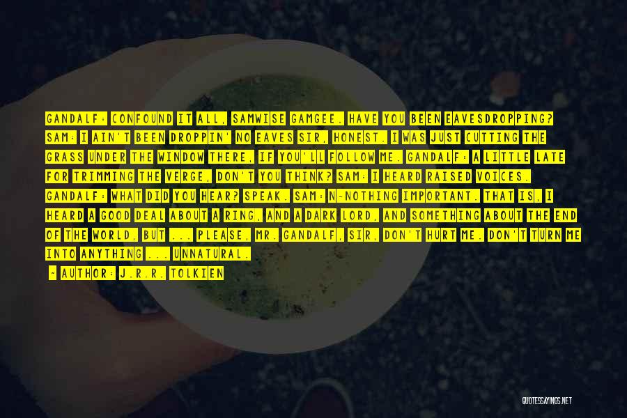 J.R.R. Tolkien Quotes: Gandalf: Confound It All, Samwise Gamgee. Have You Been Eavesdropping? Sam: I Ain't Been Droppin' No Eaves Sir, Honest. I