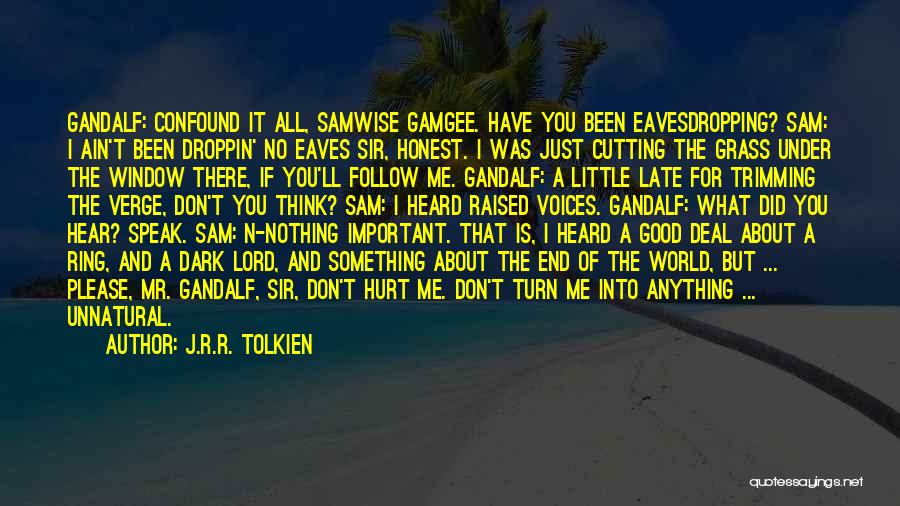 J.R.R. Tolkien Quotes: Gandalf: Confound It All, Samwise Gamgee. Have You Been Eavesdropping? Sam: I Ain't Been Droppin' No Eaves Sir, Honest. I