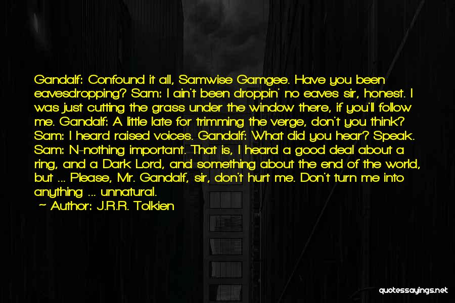 J.R.R. Tolkien Quotes: Gandalf: Confound It All, Samwise Gamgee. Have You Been Eavesdropping? Sam: I Ain't Been Droppin' No Eaves Sir, Honest. I