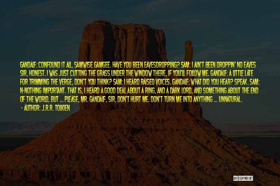 J.R.R. Tolkien Quotes: Gandalf: Confound It All, Samwise Gamgee. Have You Been Eavesdropping? Sam: I Ain't Been Droppin' No Eaves Sir, Honest. I