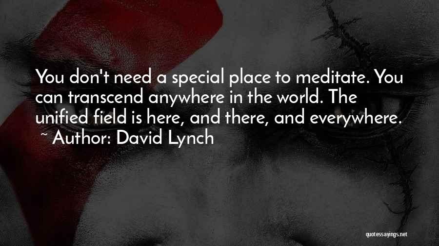 David Lynch Quotes: You Don't Need A Special Place To Meditate. You Can Transcend Anywhere In The World. The Unified Field Is Here,