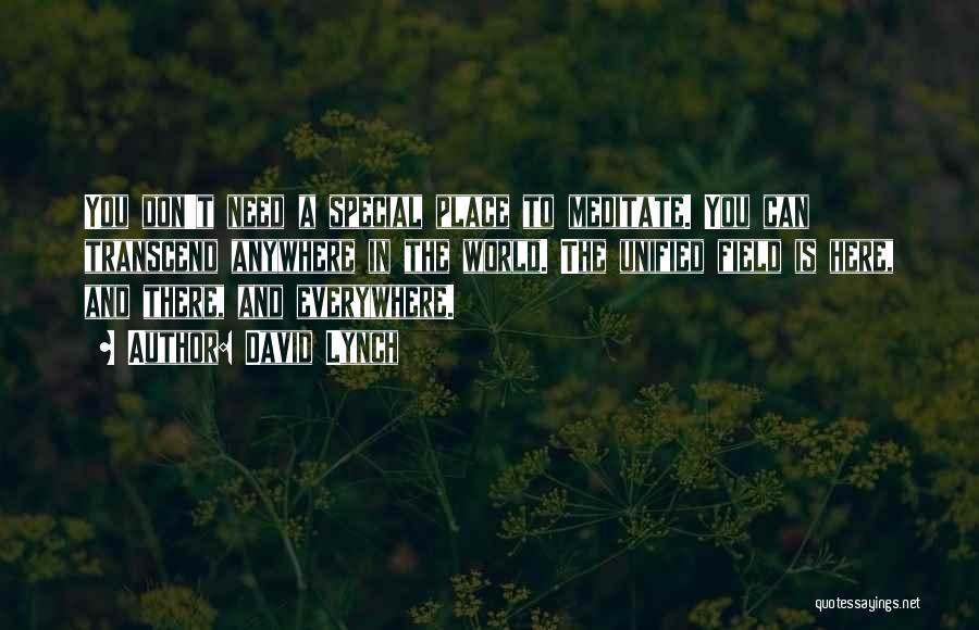 David Lynch Quotes: You Don't Need A Special Place To Meditate. You Can Transcend Anywhere In The World. The Unified Field Is Here,