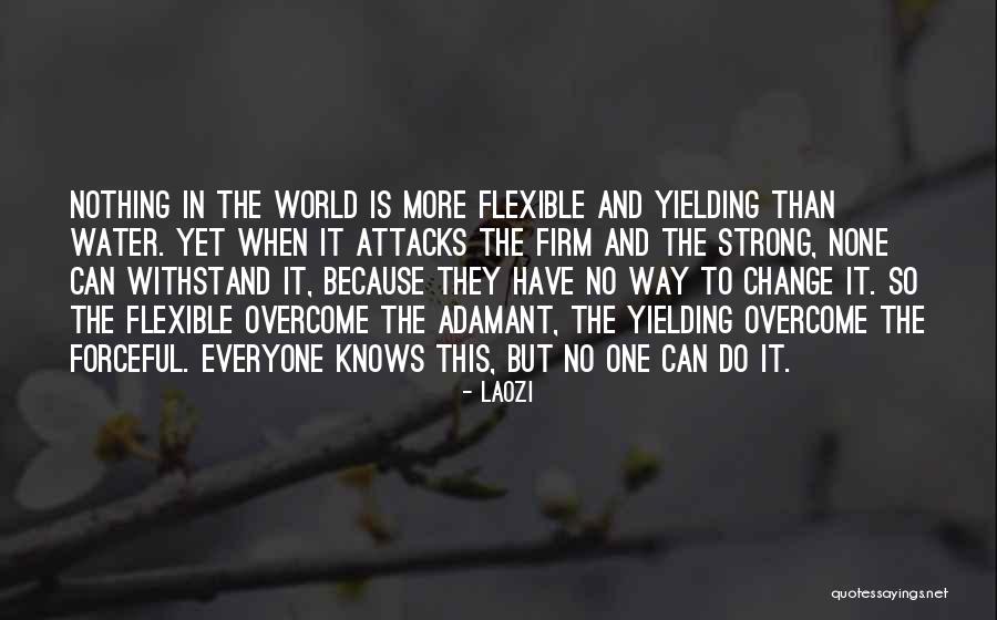 41inchplus Quotes By Laozi 41inchplus Quotes By Laozi