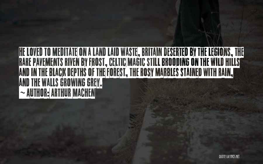 Arthur Machen Quotes: He Loved To Meditate On A Land Laid Waste, Britain Deserted By The Legions, The Rare Pavements Riven By Frost,