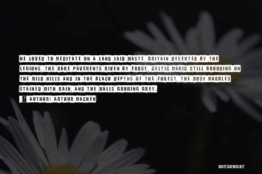 Arthur Machen Quotes: He Loved To Meditate On A Land Laid Waste, Britain Deserted By The Legions, The Rare Pavements Riven By Frost,