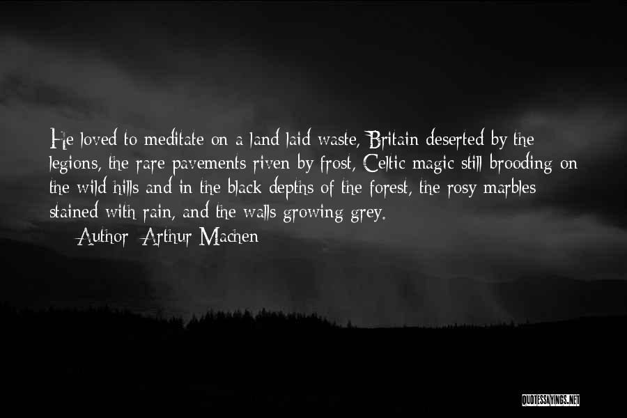 Arthur Machen Quotes: He Loved To Meditate On A Land Laid Waste, Britain Deserted By The Legions, The Rare Pavements Riven By Frost,