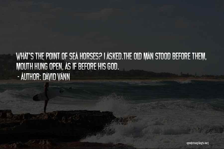 David Vann Quotes: What's The Point Of Sea Horses? I Asked.the Old Man Stood Before Them, Mouth Hung Open, As If Before His