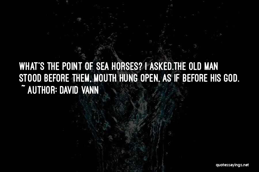 David Vann Quotes: What's The Point Of Sea Horses? I Asked.the Old Man Stood Before Them, Mouth Hung Open, As If Before His