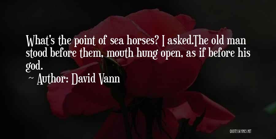 David Vann Quotes: What's The Point Of Sea Horses? I Asked.the Old Man Stood Before Them, Mouth Hung Open, As If Before His