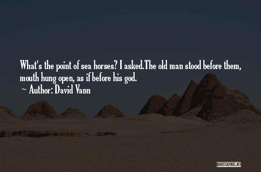 David Vann Quotes: What's The Point Of Sea Horses? I Asked.the Old Man Stood Before Them, Mouth Hung Open, As If Before His