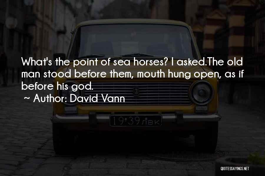 David Vann Quotes: What's The Point Of Sea Horses? I Asked.the Old Man Stood Before Them, Mouth Hung Open, As If Before His