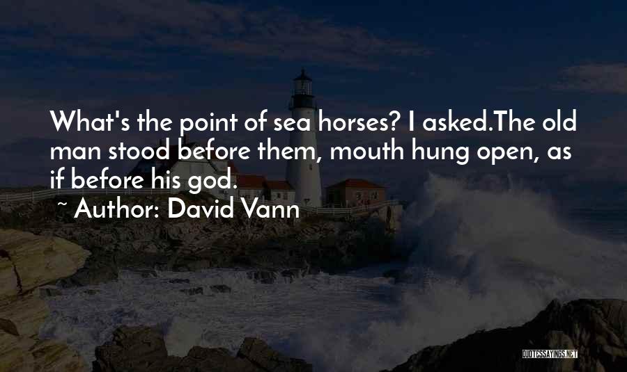 David Vann Quotes: What's The Point Of Sea Horses? I Asked.the Old Man Stood Before Them, Mouth Hung Open, As If Before His