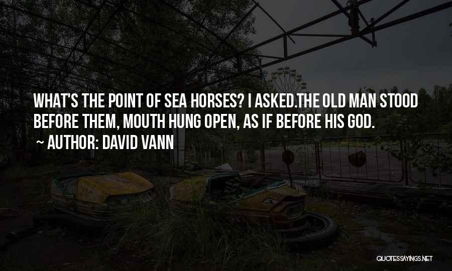 David Vann Quotes: What's The Point Of Sea Horses? I Asked.the Old Man Stood Before Them, Mouth Hung Open, As If Before His