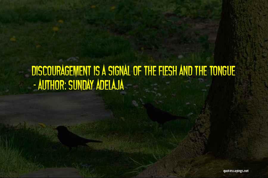 Sunday Adelaja Quotes: Discouragement Is A Signal Of The Flesh And The Tongue