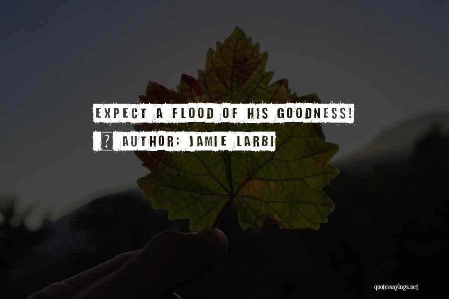 Jamie Larbi Quotes: Expect A Flood Of His Goodness!