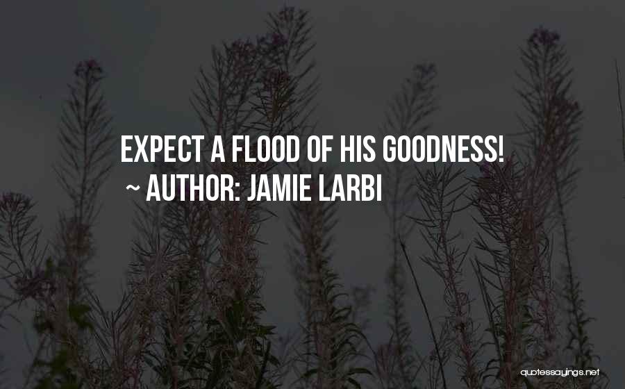 Jamie Larbi Quotes: Expect A Flood Of His Goodness!