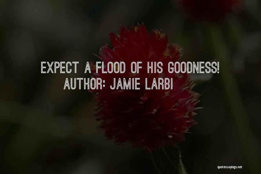 Jamie Larbi Quotes: Expect A Flood Of His Goodness!