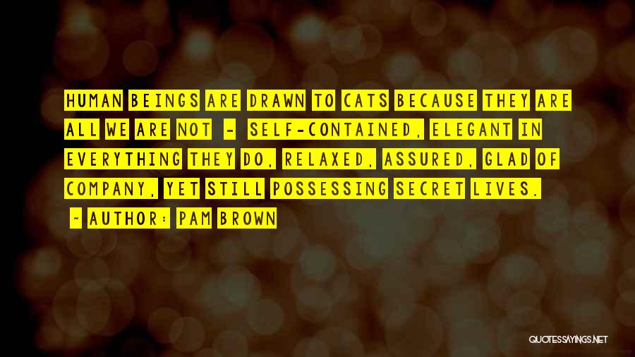 Pam Brown Quotes: Human Beings Are Drawn To Cats Because They Are All We Are Not - Self-contained, Elegant In Everything They Do,