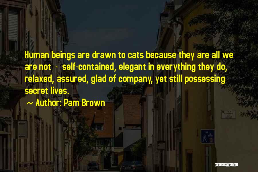 Pam Brown Quotes: Human Beings Are Drawn To Cats Because They Are All We Are Not - Self-contained, Elegant In Everything They Do,