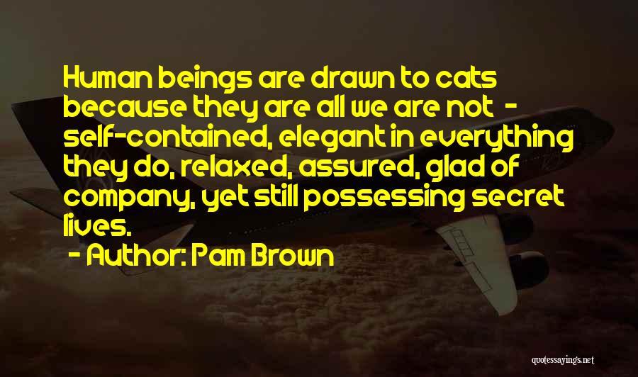 Pam Brown Quotes: Human Beings Are Drawn To Cats Because They Are All We Are Not - Self-contained, Elegant In Everything They Do,