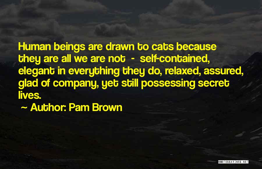 Pam Brown Quotes: Human Beings Are Drawn To Cats Because They Are All We Are Not - Self-contained, Elegant In Everything They Do,