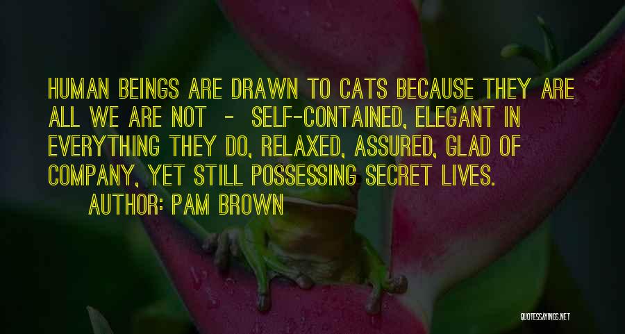 Pam Brown Quotes: Human Beings Are Drawn To Cats Because They Are All We Are Not - Self-contained, Elegant In Everything They Do,