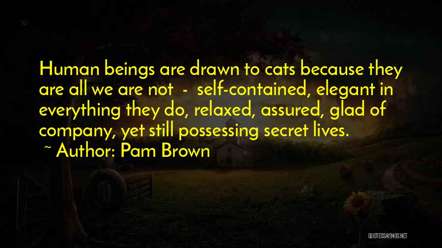 Pam Brown Quotes: Human Beings Are Drawn To Cats Because They Are All We Are Not - Self-contained, Elegant In Everything They Do,