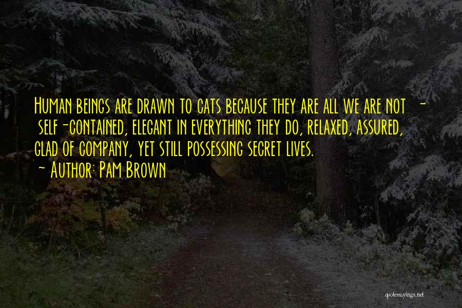 Pam Brown Quotes: Human Beings Are Drawn To Cats Because They Are All We Are Not - Self-contained, Elegant In Everything They Do,