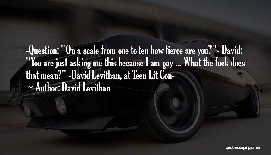 David Levithan Quotes: -question: On A Scale From One To Ten How Fierce Are You?- David: You Are Just Asking Me This Because