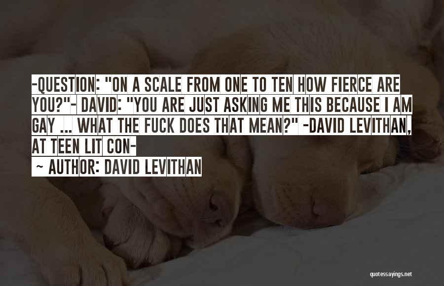 David Levithan Quotes: -question: On A Scale From One To Ten How Fierce Are You?- David: You Are Just Asking Me This Because