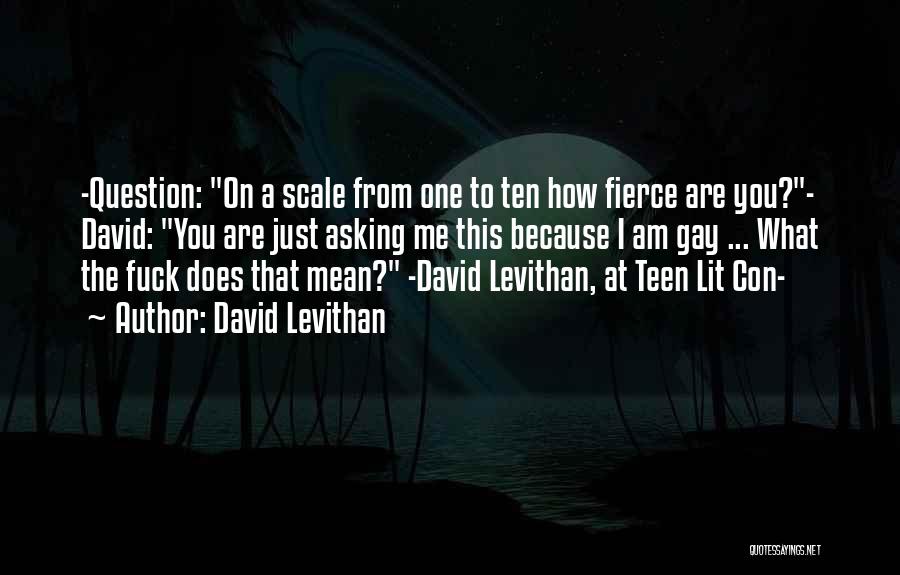 David Levithan Quotes: -question: On A Scale From One To Ten How Fierce Are You?- David: You Are Just Asking Me This Because