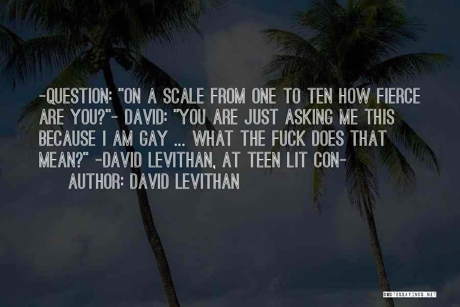 David Levithan Quotes: -question: On A Scale From One To Ten How Fierce Are You?- David: You Are Just Asking Me This Because