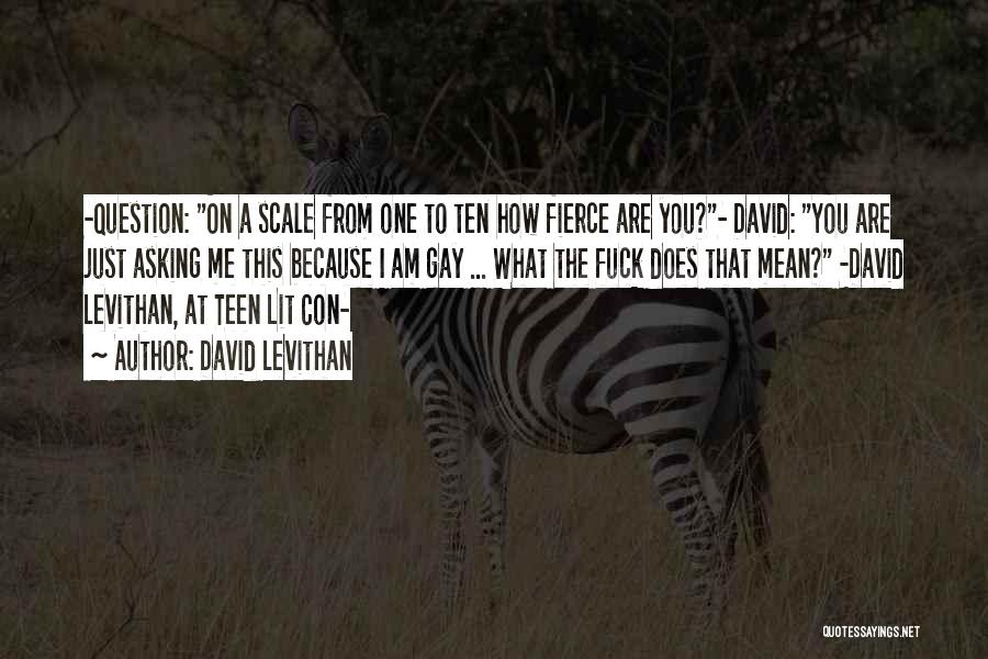 David Levithan Quotes: -question: On A Scale From One To Ten How Fierce Are You?- David: You Are Just Asking Me This Because