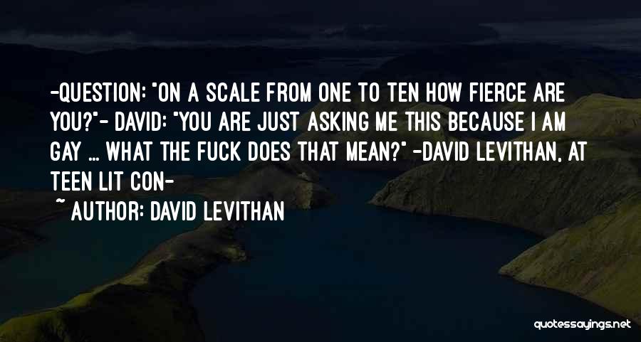 David Levithan Quotes: -question: On A Scale From One To Ten How Fierce Are You?- David: You Are Just Asking Me This Because