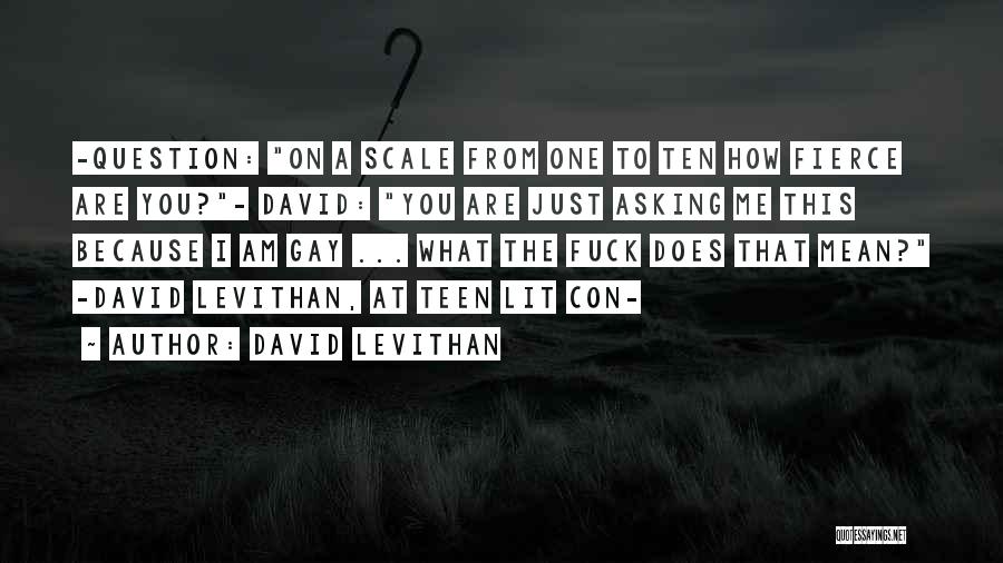 David Levithan Quotes: -question: On A Scale From One To Ten How Fierce Are You?- David: You Are Just Asking Me This Because