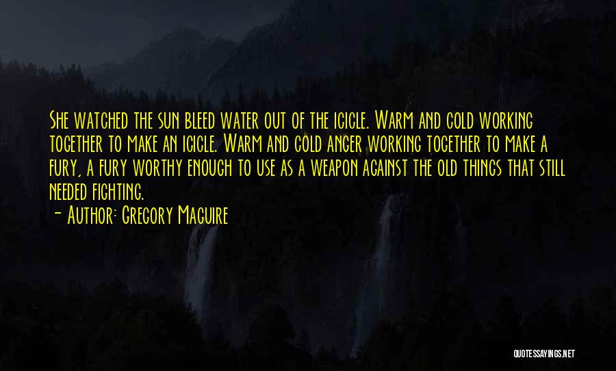 Gregory Maguire Quotes: She Watched The Sun Bleed Water Out Of The Icicle. Warm And Cold Working Together To Make An Icicle. Warm