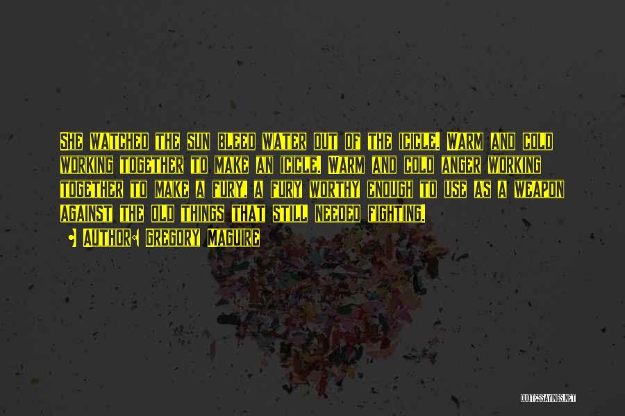 Gregory Maguire Quotes: She Watched The Sun Bleed Water Out Of The Icicle. Warm And Cold Working Together To Make An Icicle. Warm
