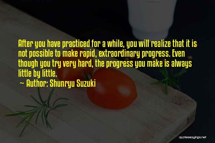 Shunryu Suzuki Quotes: After You Have Practiced For A While, You Will Realize That It Is Not Possible To Make Rapid, Extraordinary Progress.