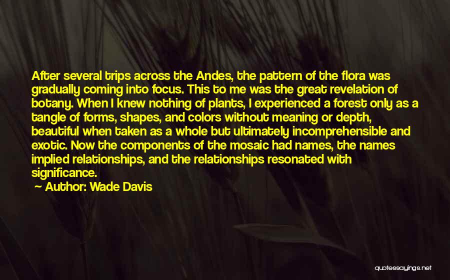 Wade Davis Quotes: After Several Trips Across The Andes, The Pattern Of The Flora Was Gradually Coming Into Focus. This To Me Was