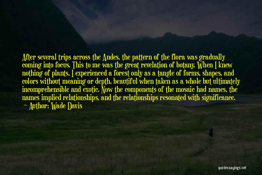 Wade Davis Quotes: After Several Trips Across The Andes, The Pattern Of The Flora Was Gradually Coming Into Focus. This To Me Was